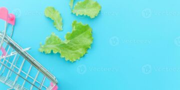 Alimentos ecológicos: Beneficios para la salud y el medio ambiente
