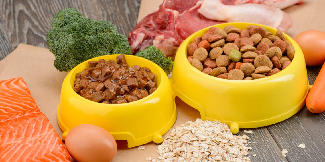 Productos saludables para cuidar y alimentar a tu mascota con amor