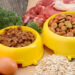 Productos saludables para cuidar y alimentar a tu mascota con amor