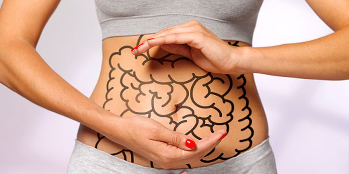 ¡Mejora tu digestión y tránsito intestinal con nuestros productos! ¡Mejora tu digestión y tránsito intestinal con nuestros productos!