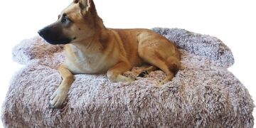 ¡Descubre las camas para perros que harán felices a tus mascotas!