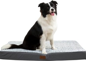 Descubre la mejor opción: Camas ortopédicas para perros mayores