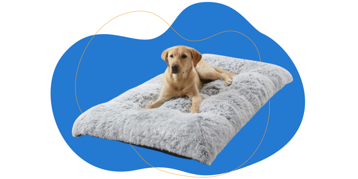 Camas para perros: confort y durabilidad garantizados