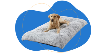 Camas para perros: confort y durabilidad garantizados