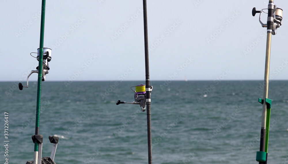 Aumenta tus capturas con los productos de pesca más efectivos