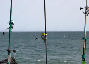 Aumenta tus capturas con los productos de pesca más efectivos