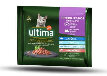 5 opciones recomendadas: La mejor marca de comida para gatos esterilizados