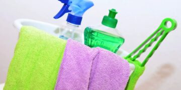 Productos ecológicos vs convencionales: ¿Cuál es mejor para tu jardín? Productos ecológicos vs convencionales: ¿Cuál es mejor para tu jardín?