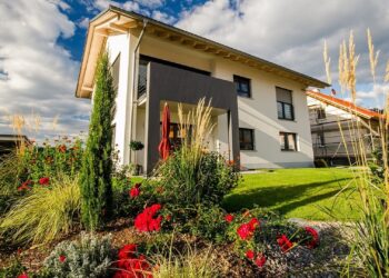 La mejor opción: Pros y contras de marcas de cuidado del jardín