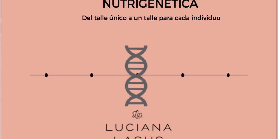 ¡Descubre los criterios clave para elegir dietas y compara productos!