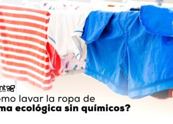 Consejos expertos: Cuida y mantiene tus prendas de diseño