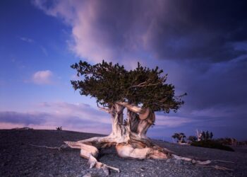 Cuándo visitar cada destino: descubre la mejor época para tus viajes Cuándo visitar cada destino: descubre la mejor época para tus viajes