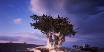 Cuándo visitar cada destino: descubre la mejor época para tus viajes