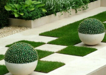 Descubre las tendencias en diseño de jardines y aprende a aplicarlas