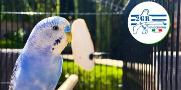 Elija la mejor jaula para su loro mascota: guía completa