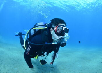 Buceo increíble: Guía de equipos de buceo para principiantes