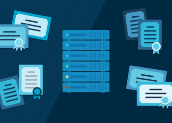 Elige el mejor servicio digital: 8 criterios clave para decidir informadamente