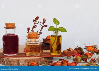 Aceites esenciales: Maximiza tus resultados con su uso correcto