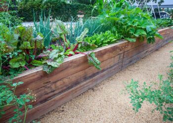 Descubre el mejor sistema de riego automatizado para huertos urbanos