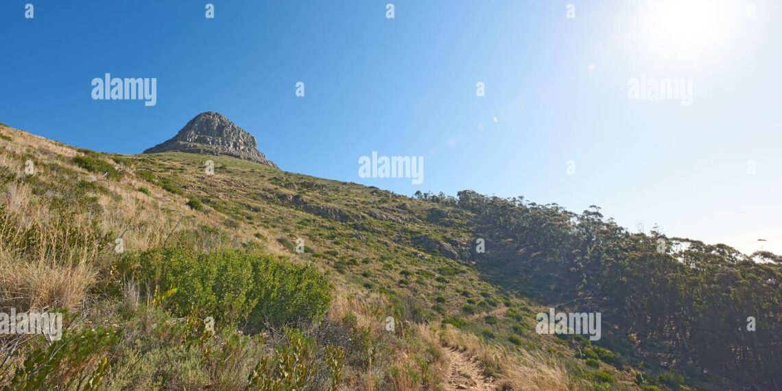 Alivia el estrés y la ansiedad de manera natural con el mejor producto Alivia el estrés y la ansiedad de manera natural con el mejor producto