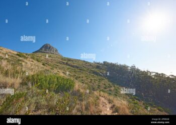 Alivia el estrés y la ansiedad de manera natural con el mejor producto