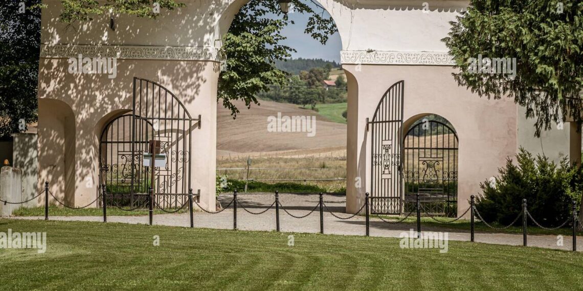 Descubre las herramientas más útiles para cuidar tu césped con éxito