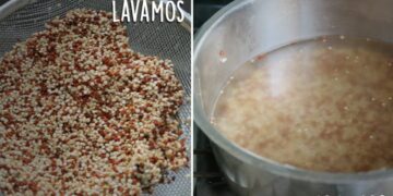 Comparativa: Trigo sarraceno vs. espuma de memoria para cojines de meditación