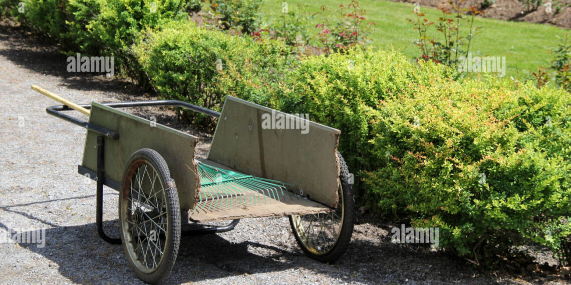 Aprende cómo mantener tu jardín limpio y ordenado de forma eficiente