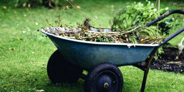 Elimina las malas hierbas: la guía definitiva para un jardín impecable