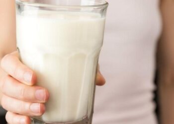 Nueva opción de leche vegetal: ¡perfecta para alérgicos a la lactosa!