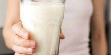 Nueva opción de leche vegetal: ¡perfecta para alérgicos a la lactosa!