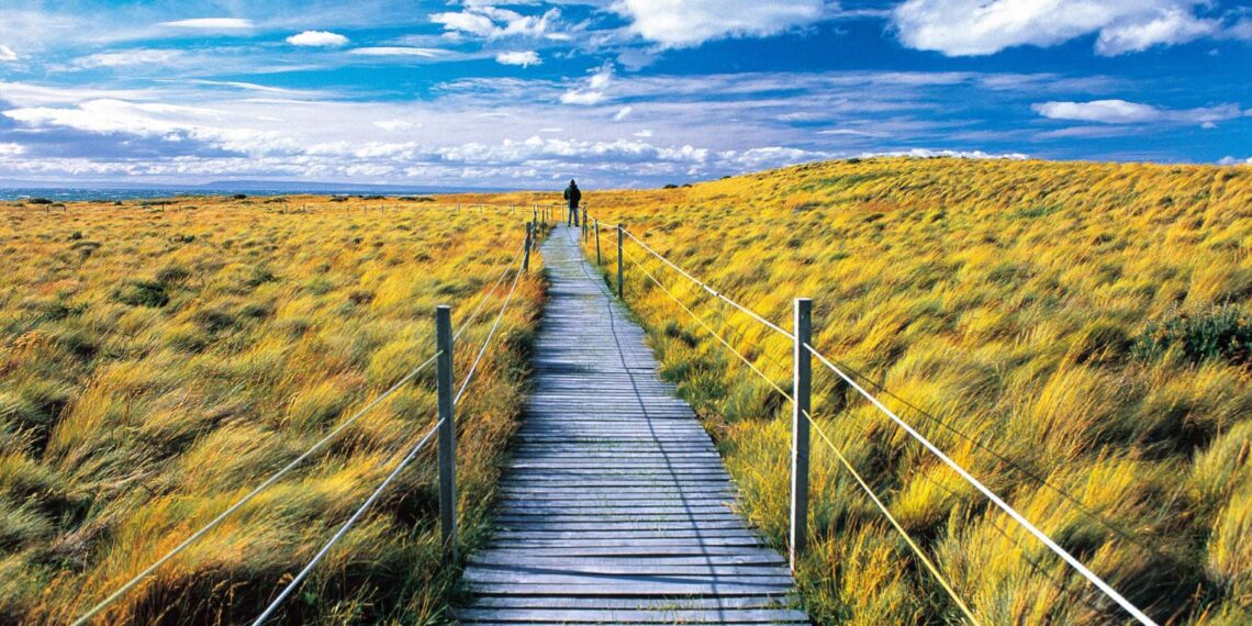 Captura paisajes impresionantes con el equipamiento esencial Captura paisajes impresionantes con el equipamiento esencial