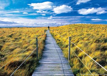 Captura paisajes impresionantes con el equipamiento esencial