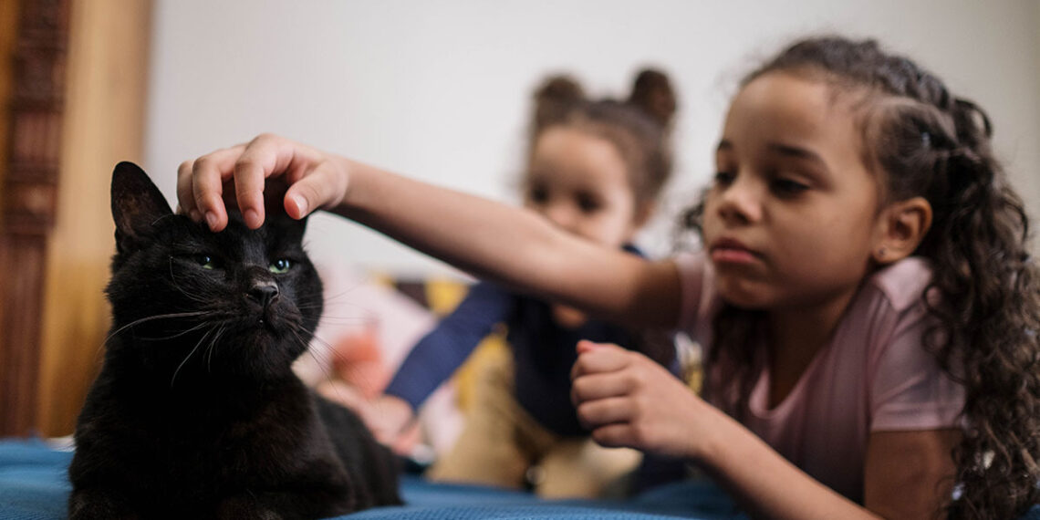 Guía experta: alergias alimenticias en perros/gatos y las mejores recomendaciones