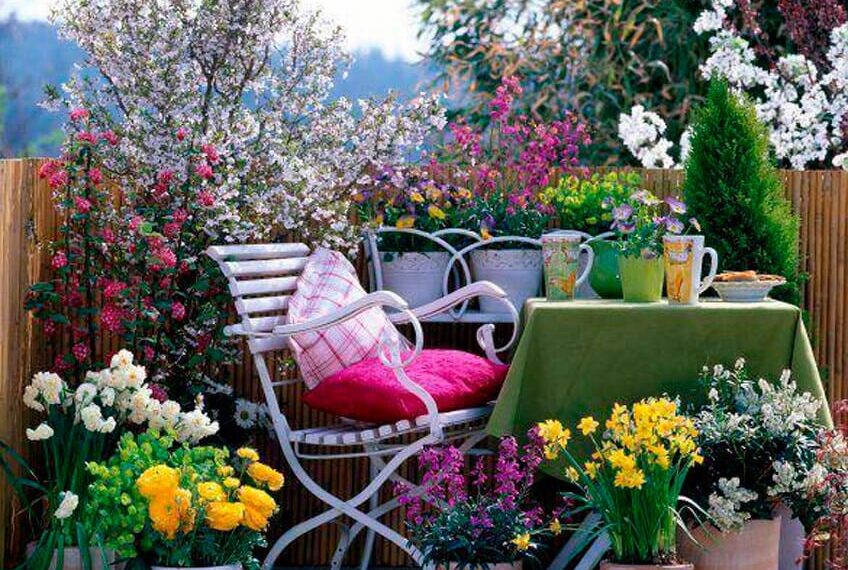 Productos orgánicos para el jardín: cuidado y control de plagas Productos orgánicos para el jardín: cuidado y control de plagas