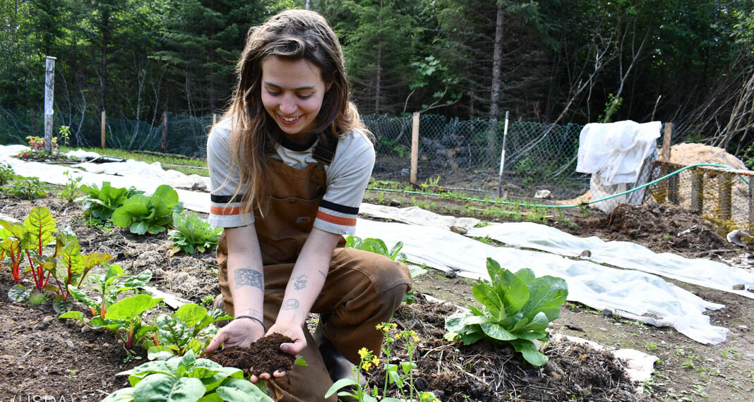 Agricultura sostenible: los mejores productos en nuestra comparativa