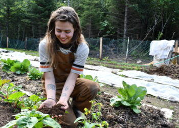 Agricultura sostenible: los mejores productos en nuestra comparativa