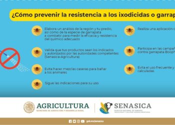 Descubre los productos más duraderos para tus aventuras al aire libre