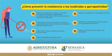 Descubre los productos más duraderos para tus aventuras al aire libre