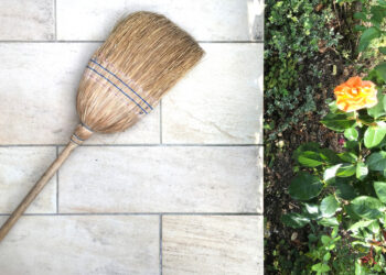 Mantén tu patio impecable con los mejores productos de limpieza