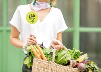 Descubre los criterios para productos eco-friendly y sostenibles