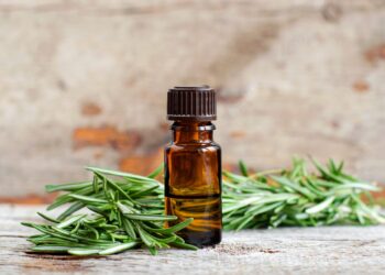 Pelo perfecto y duradero: Descubre los mejores productos digitales