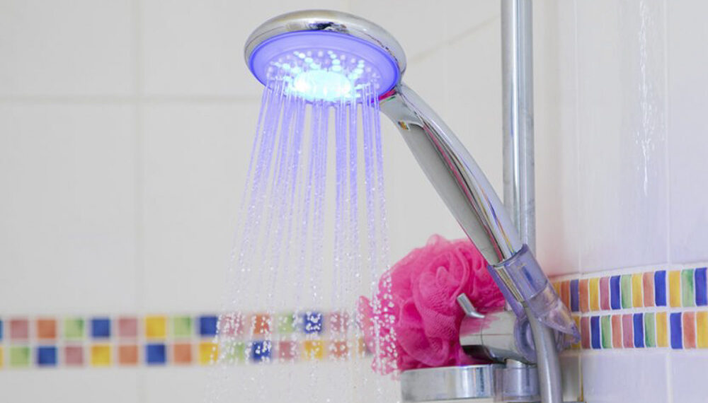 Descubre cómo elegir productos sostenibles para el hogar y jardinería Descubre cómo elegir productos sostenibles para el hogar y jardinería