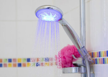 Descubre cómo elegir productos sostenibles para el hogar y jardinería