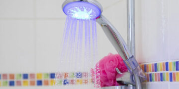 Descubre cómo elegir productos sostenibles para el hogar y jardinería Descubre cómo elegir productos sostenibles para el hogar y jardinería