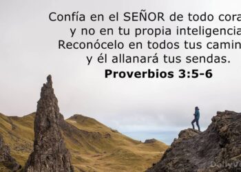 Confianza en ayudas: Criterios para elegir con seguridad