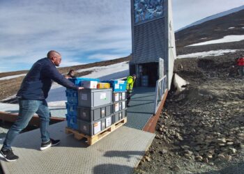 Selecciona las semillas adecuadas según tu zona: consejos definitivos