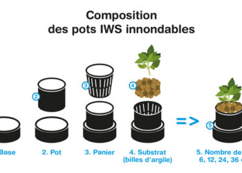 Evita exceso de agua: el tipo ideal de drenaje en macetas
