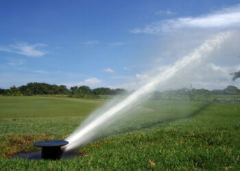 Descubre los mejores sistemas de riego para tu jardín