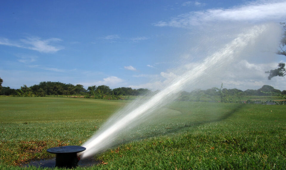 Descubre los mejores sistemas de riego para tu jardín